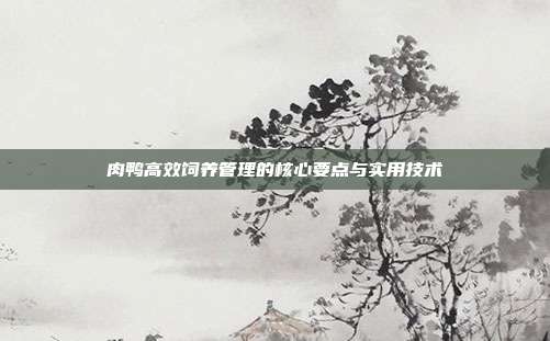 肉鸭高效饲养管理的核心要点与实用技术