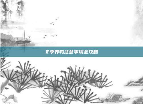冬季养鸭注意事项全攻略