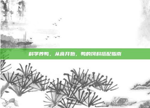科学养鸭，从食开始，鸭的饲料搭配指南
