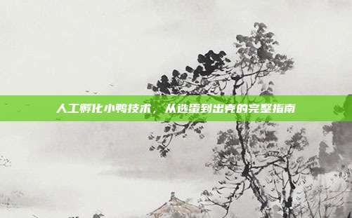 人工孵化小鸭技术，从选蛋到出壳的完整指南