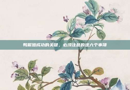 鸭繁殖成功的关键，必须注意的这六个事项
