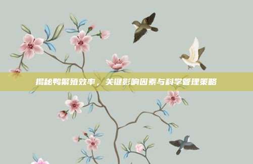 揭秘鸭繁殖效率，关键影响因素与科学管理策略