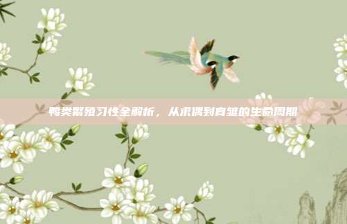 鸭类繁殖习性全解析，从求偶到育雏的生命周期