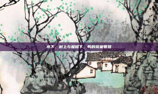 水下、树上与屋檐下，鸭的筑巢智慧