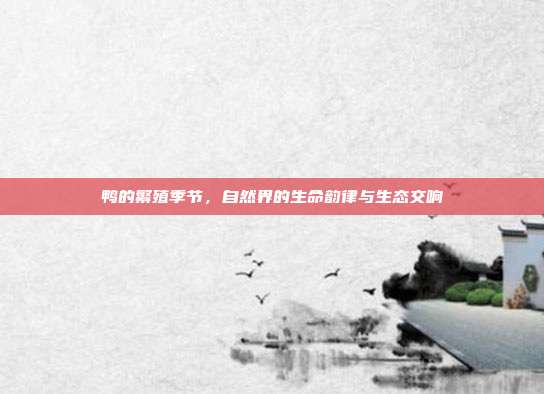 鸭的繁殖季节，自然界的生命韵律与生态交响