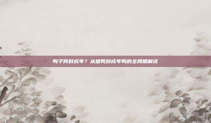 鸭子何时成年？从雏鸭到成年鸭的全周期解读