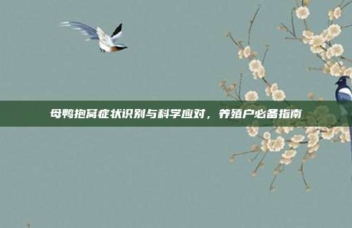母鸭抱窝症状识别与科学应对，养殖户必备指南