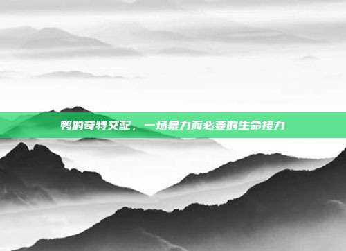 鸭的奇特交配，一场暴力而必要的生命接力