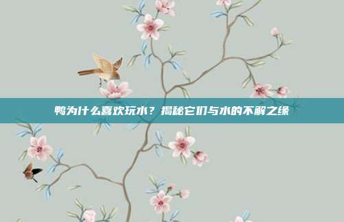 鸭为什么喜欢玩水？揭秘它们与水的不解之缘