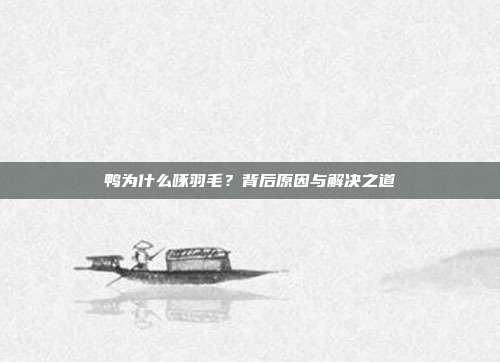 鸭为什么啄羽毛？背后原因与解决之道