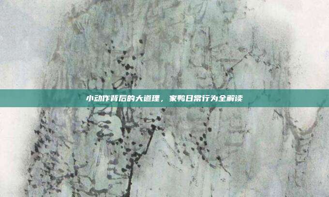小动作背后的大道理，家鸭日常行为全解读