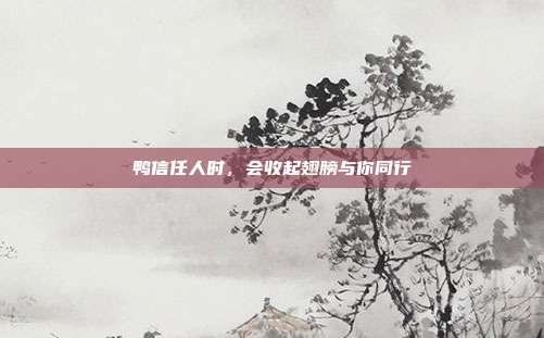 鸭信任人时，会收起翅膀与你同行