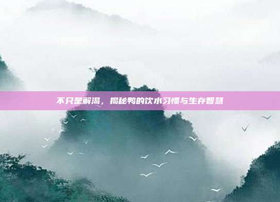 不只是解渴，揭秘鸭的饮水习惯与生存智慧