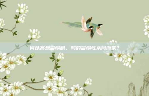 何以高悬警惕眼，鸭的警惕性从何而来？