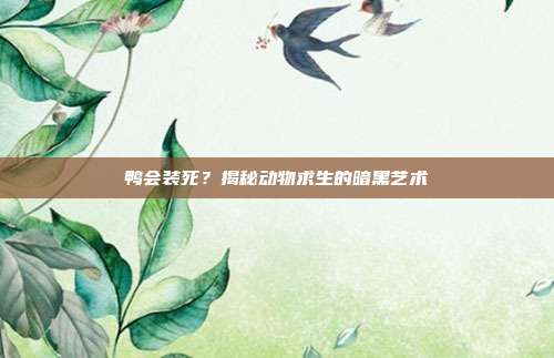 鸭会装死？揭秘动物求生的暗黑艺术