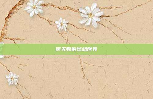 雨天鸭的悠然世界