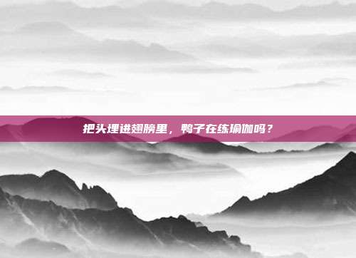 把头埋进翅膀里，鸭子在练瑜伽吗？