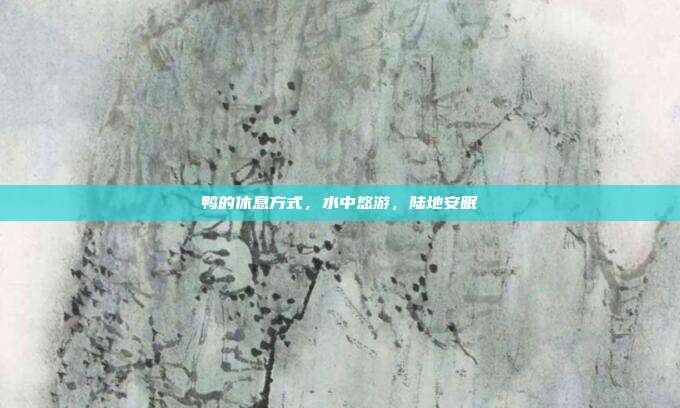 鸭的休息方式，水中悠游，陆地安眠