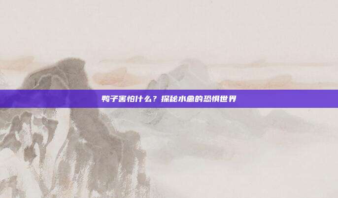 鸭子害怕什么？探秘水禽的恐惧世界