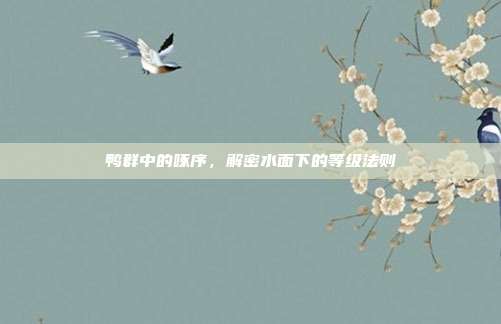 鸭群中的啄序，解密水面下的等级法则
