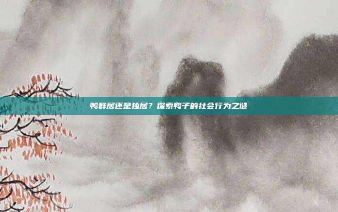 鸭群居还是独居？探索鸭子的社会行为之谜