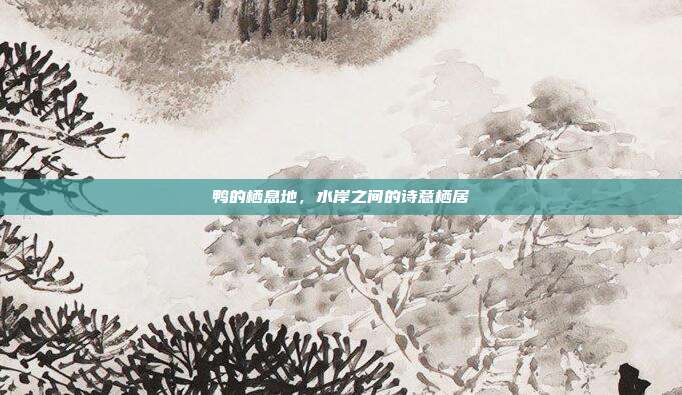 鸭的栖息地，水岸之间的诗意栖居