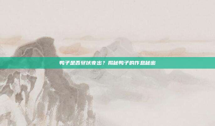 鸭子是否昼伏夜出？揭秘鸭子的作息秘密