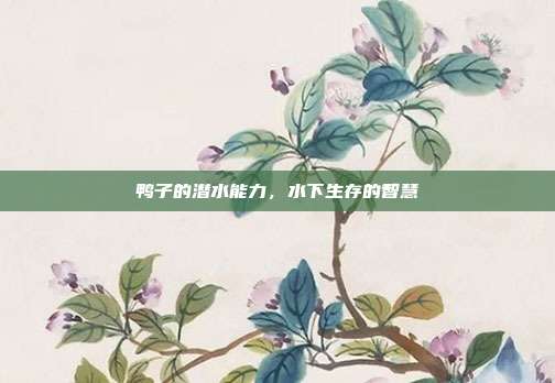 鸭子的潜水能力，水下生存的智慧
