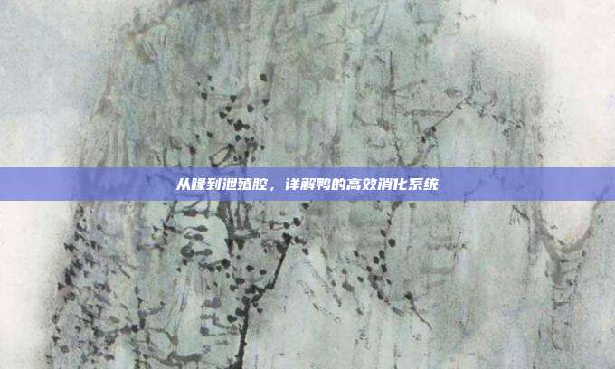 从喙到泄殖腔，详解鸭的高效消化系统