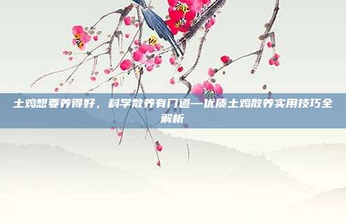 土鸡想要养得好，科学散养有门道—优质土鸡散养实用技巧全解析