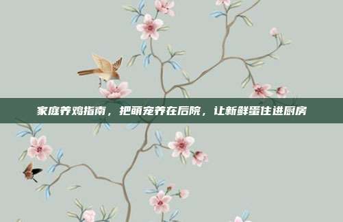 家庭养鸡指南，把萌宠养在后院，让新鲜蛋住进厨房