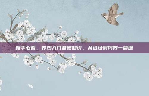新手必看，养鸡入门基础知识，从选址到饲养一篇通