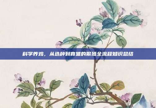 科学养鸡，从选种到育雏的繁殖全流程知识总结