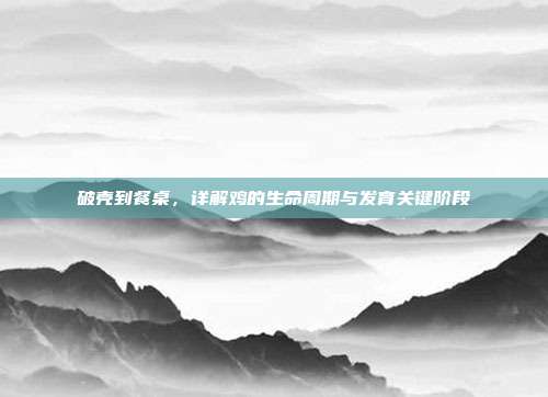 破壳到餐桌，详解鸡的生命周期与发育关键阶段