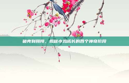 破壳到翱翔，揭秘小鸡成长的四个神奇阶段