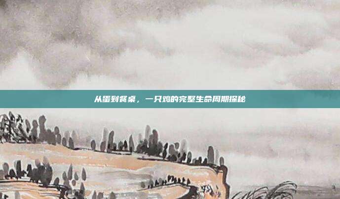 从蛋到餐桌，一只鸡的完整生命周期探秘