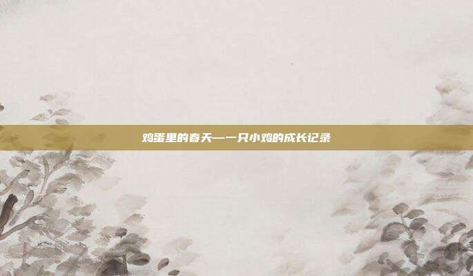 鸡蛋里的春天—一只小鸡的成长记录