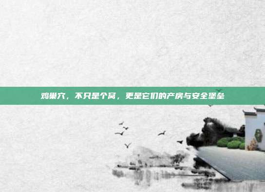 鸡巢穴，不只是个窝，更是它们的产房与安全堡垒