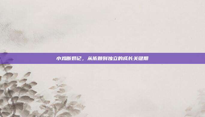 小鸡断奶记，从依赖到独立的成长关键期