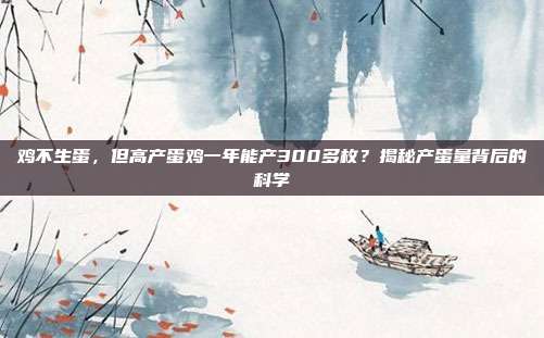 鸡不生蛋，但高产蛋鸡一年能产300多枚？揭秘产蛋量背后的科学