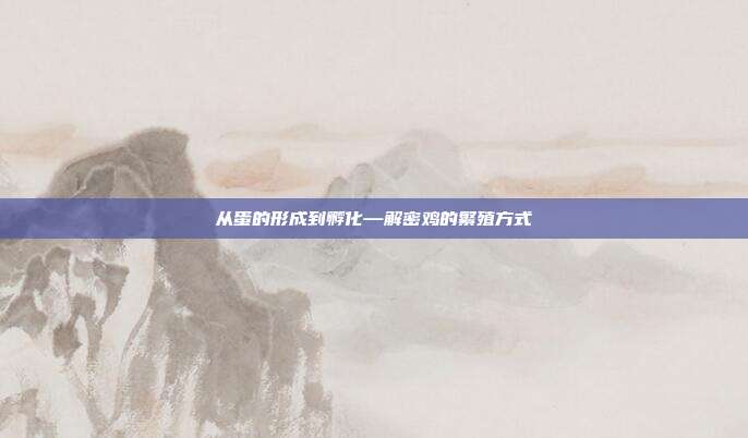 从蛋的形成到孵化—解密鸡的繁殖方式