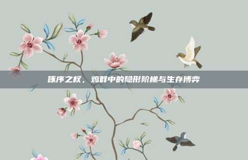 啄序之权，鸡群中的隐形阶梯与生存博弈