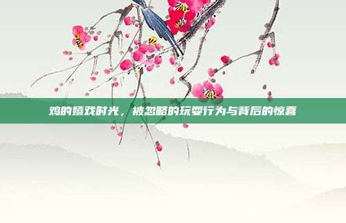 鸡的嬉戏时光，被忽略的玩耍行为与背后的惊喜