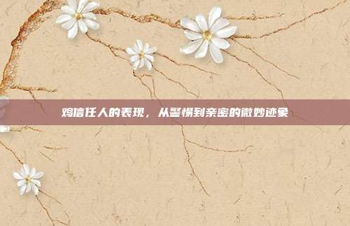 鸡信任人的表现，从警惕到亲密的微妙迹象