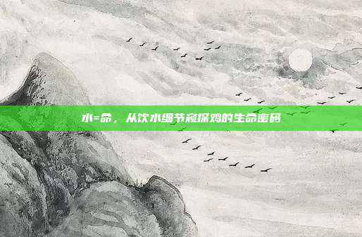水=命，从饮水细节窥探鸡的生命密码