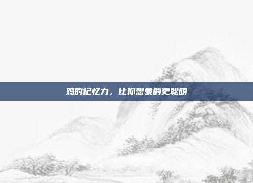 鸡的记忆力，比你想象的更聪明