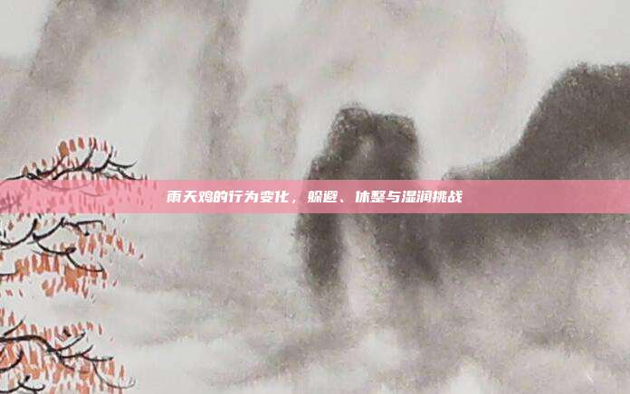 雨天鸡的行为变化，躲避、休整与湿润挑战