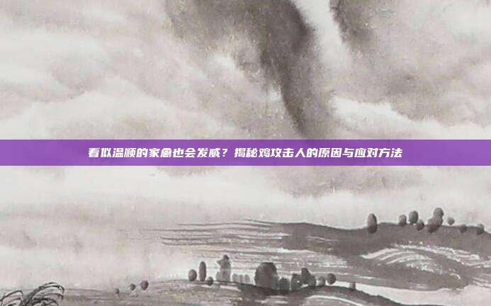 看似温顺的家禽也会发威？揭秘鸡攻击人的原因与应对方法