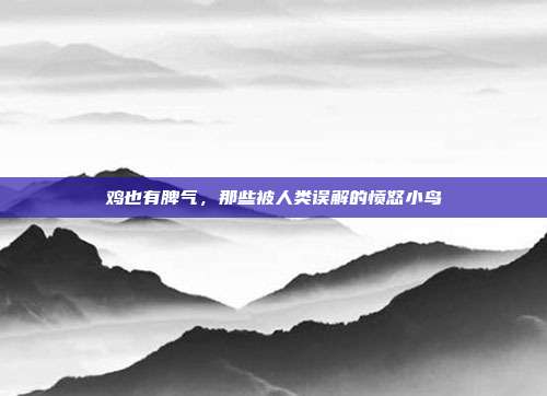 鸡也有脾气，那些被人类误解的愤怒小鸟