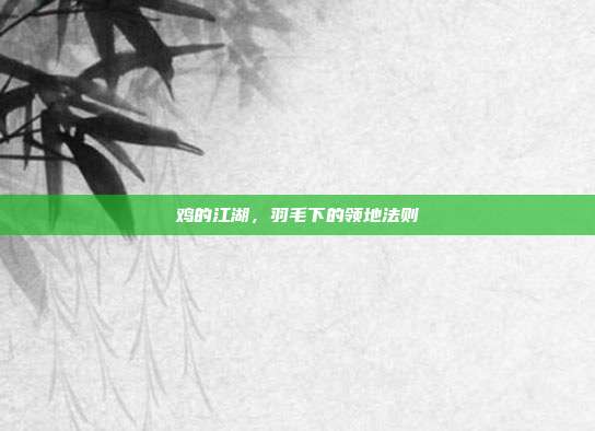 鸡的江湖，羽毛下的领地法则
